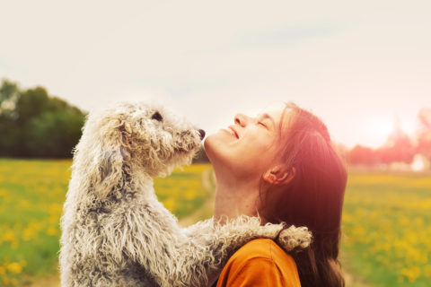 Young woman having fun in park with her dog