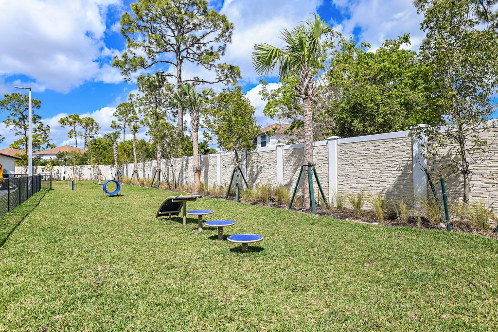 Outside dog park area with dog obstacles, tropical landscaping and open area to run