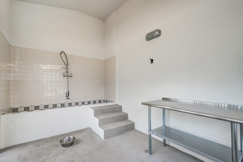 Indoor pet wash area with bath tub and table